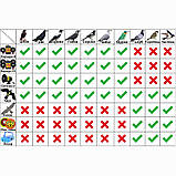 Відлякувач птахів ХИЖАК-2 від ластівок, голубів, горобців, фото 3