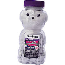 Жувальні мультивітаміни для дітей Sambucol Black Elderberry Chewable Teddies For Kids + Vitamin C 60 жев таб, фото 2