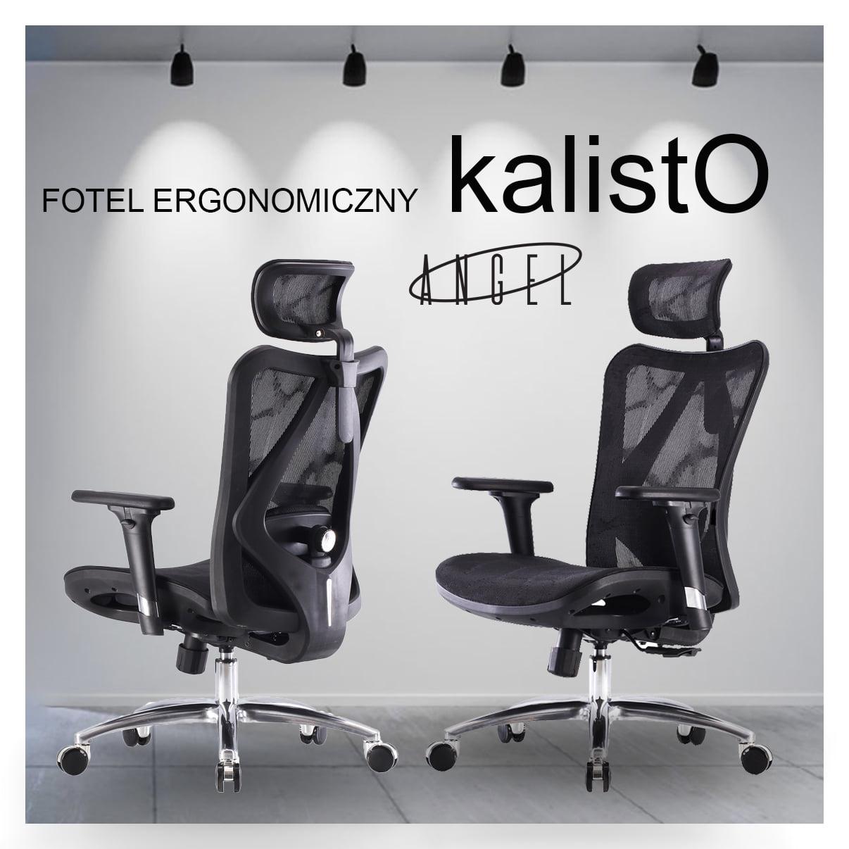 Єргономічне крісло KalistO ANGEL для офісу