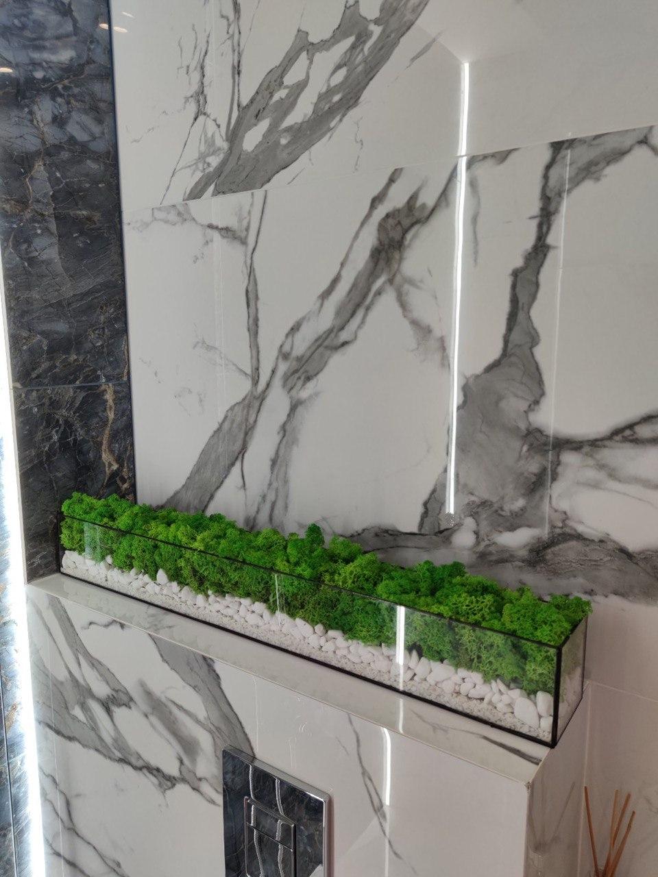 Прямокутний мосаріум флораріум зі стабілізованим мохом 80х10х10 см