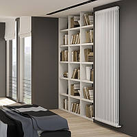 Радиатор трубчатый IRSAP Tesi 2 900x450 Белый