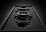 DALI Phantom IW M-250, фото 3