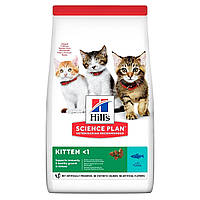 Hill`s Science Plan Kitten Tuna сухой корм для котят, беременных и кормящих кошек с тунцом 0.3 кг