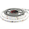 Світлодіодна стрічка біла 12V smd2835 ІР20 6500К (5 метрів) 60led негерметична, фото 7