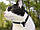 Цифрова камера для домашніх тварин EYENIMAL Pet Videocam (вага 30 гр), фото 5