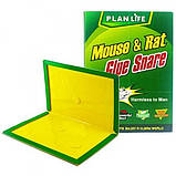 Клейова пастка від мишей, велика книжка (32х21 см), фото 3