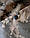 Плащ дощовик тактичний армійський піксель ЗСУ Пончо з капюшоном, фото 10