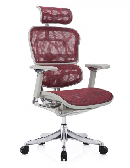КРІСЛО ERGOHUMAN PLUS LUXURY (EHPL-AG-HAM ZB6) red