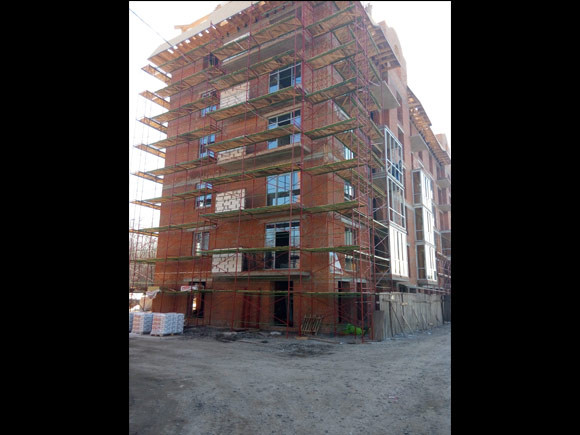 Лісові волосіні складані, фото 1