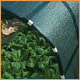 Сітка для затінення 3х5 м 60% - сонцезахисна, садова, щільна, фото 3