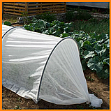 Готовий дугового парник 6 метрів з агроволокна Shadow 60 щільність (розбірна теплиця аркова з спанбонду), фото 9