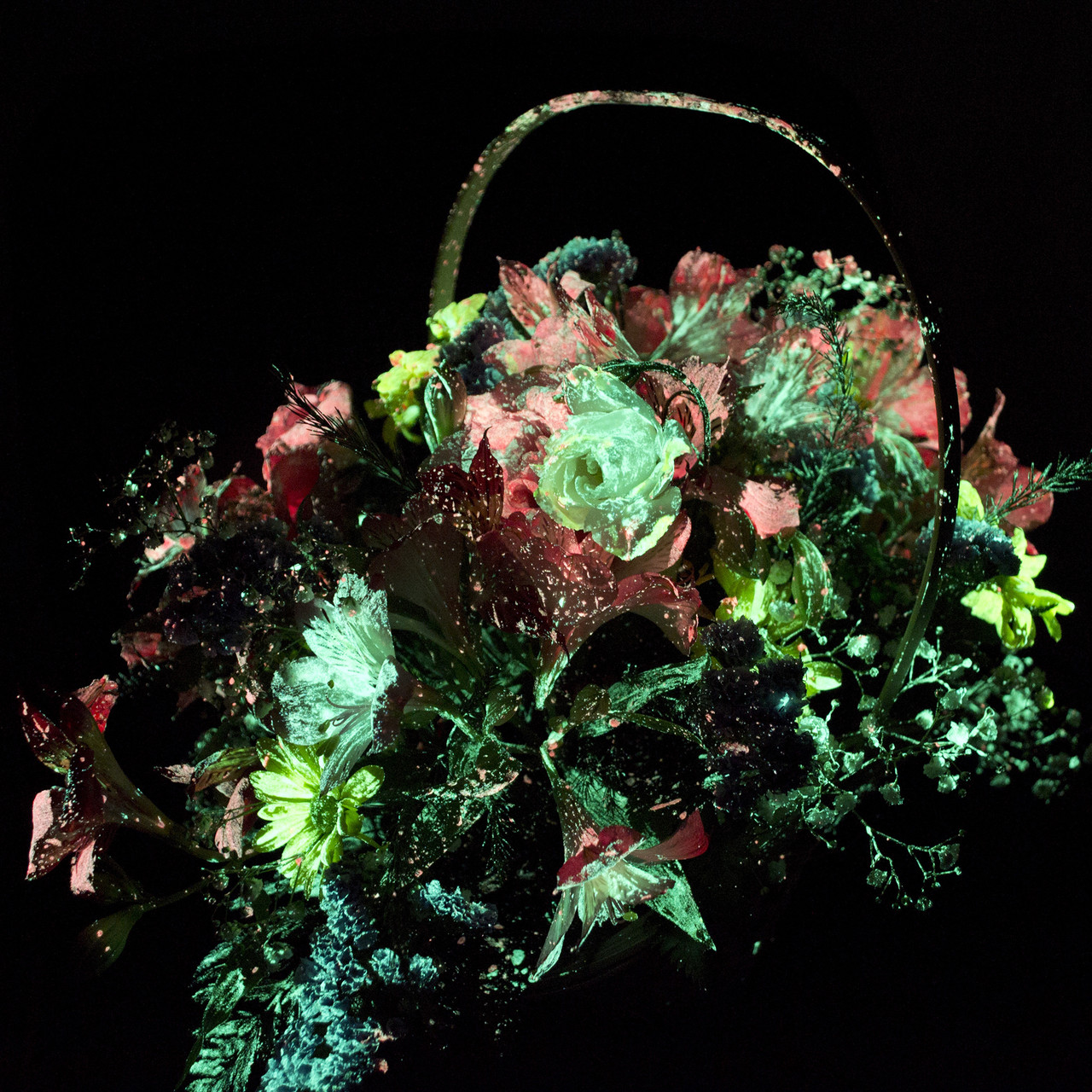 Светящаяся краска для нанесения на цветы Altey Flower 0,25 кг / Светящаяся в темноте краска для цветов - фото 3 - id-p1686260226