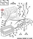 Датчик тиску масла на Fiat Ducato 230, Peugeot Boxer, Citroen Jumper (94-02), 500312468, 1131C7, 55202374, фото 8