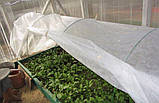 Готове полотно 10 м для парника теплиці, біле агроволокно прошита 60 г/м2 щільності, фото 5
