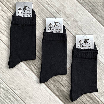 Шкарпетки чоловічі демісезонні бавовна лайкра Топ-Тап, Житомир, 29 розмір, чорні, 08842