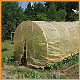 Плівка 80 мкм поліетиленова 6х50 м. УФ 12 місяців, фото 4