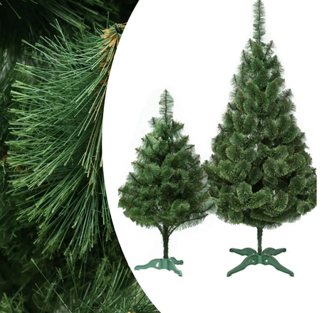 Сосна з пухнастим кінчиком