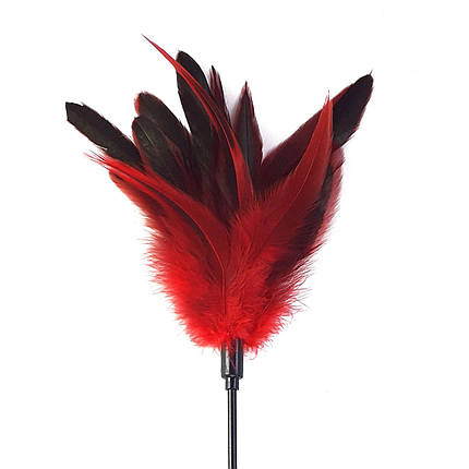 Щікання червона Art of Sex — Feather Paddle, перо молодого півня, фото 2