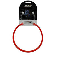 Нашийник AnimAll LED для собак з підзарядкою USB розмір S 40 см червоний