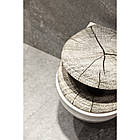 Кришка для унітазу Ashen, AWD02181491, фото 3