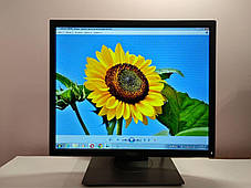 Монитор Dell P1917S / 19" (1280x1024) IPS / HDMI, VGA, DisplayPort, USB 3.0 / VESA 100x100, фото 2
