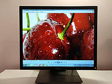 Монитор Dell P1917S / 19" (1280x1024) IPS / HDMI, VGA, DisplayPort, USB 3.0 / VESA 100x100, фото 3
