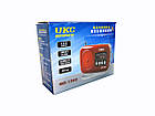 Цифровий радіоприймач UKC MD-1300 USB MP3 Pink, фото 3