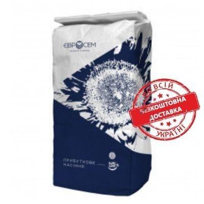 Насіння соняшника ПЕГАС НС Х 6341 (Оптимум) під євро-лайтнинг, фото 1