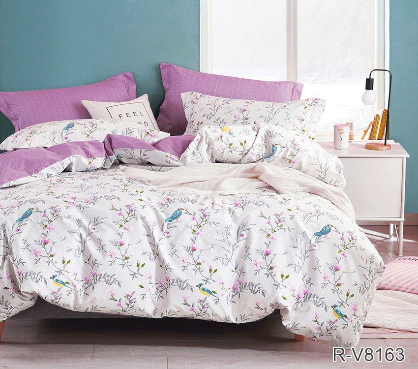 Комплект постільної білизни з компаньйоном R-V8163