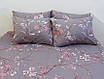 ТМ TAG Комплект постільної білизни з компаньйоном R7245a, фото 3