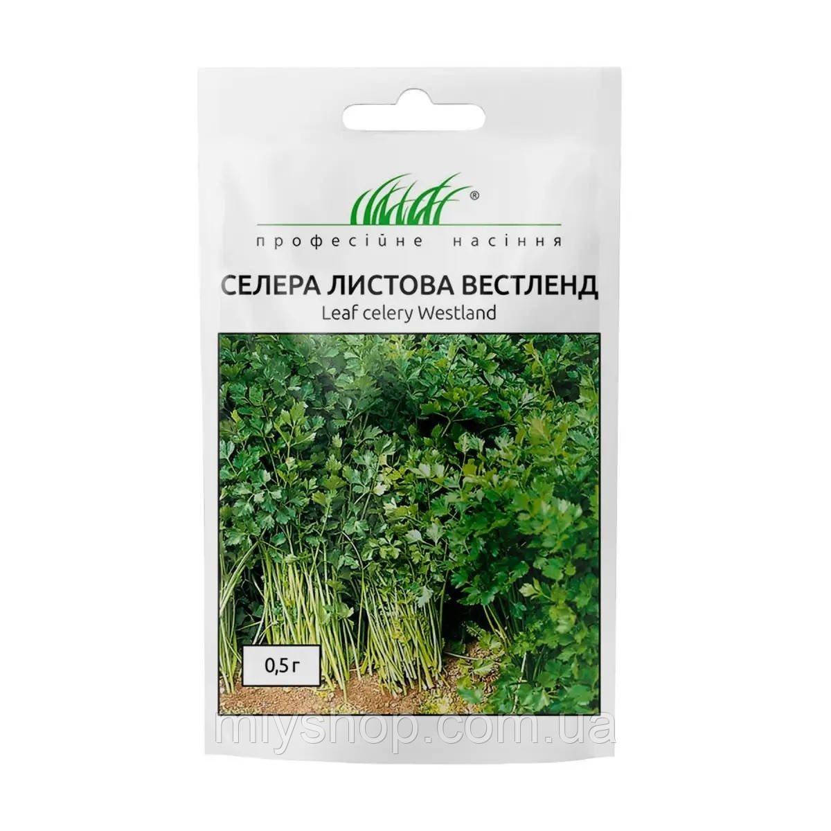 Селера листова Вестленд 0,5гр Професійне насіння, фото 1