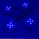 Точкова неонова підсвітка салону, багажника, 4 точки/20 лампочок, фото 3