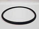 Ущільнювальне прокладання фланця бойлера для газового котла Baxi 159,5х7 3400790, фото 3