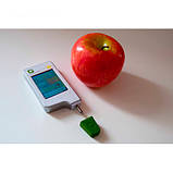 Дозиметр-радіометр, нітрат-Тестер GreenTest ECO 4F + Риба, фото 5