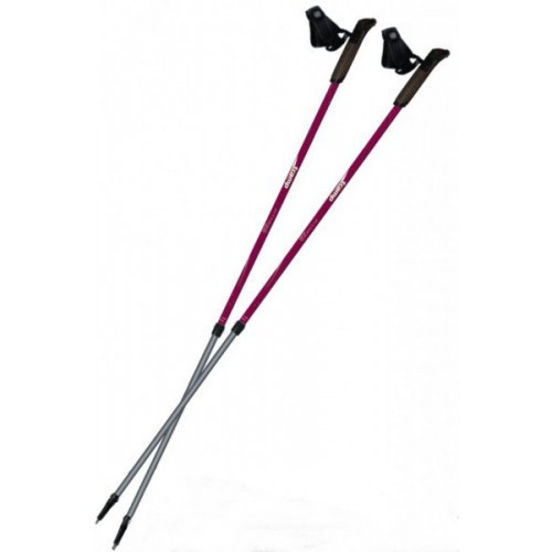 Палиці для скандинавської ходьби Tramp Fitness TRR-011, фото 1