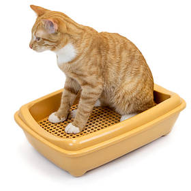 Туалети, лотки, совки для котів