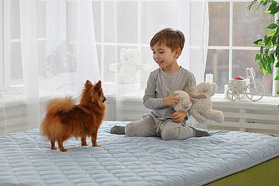 Матрац Дорео Рол Ап 7 зон 160*190см на ліжко