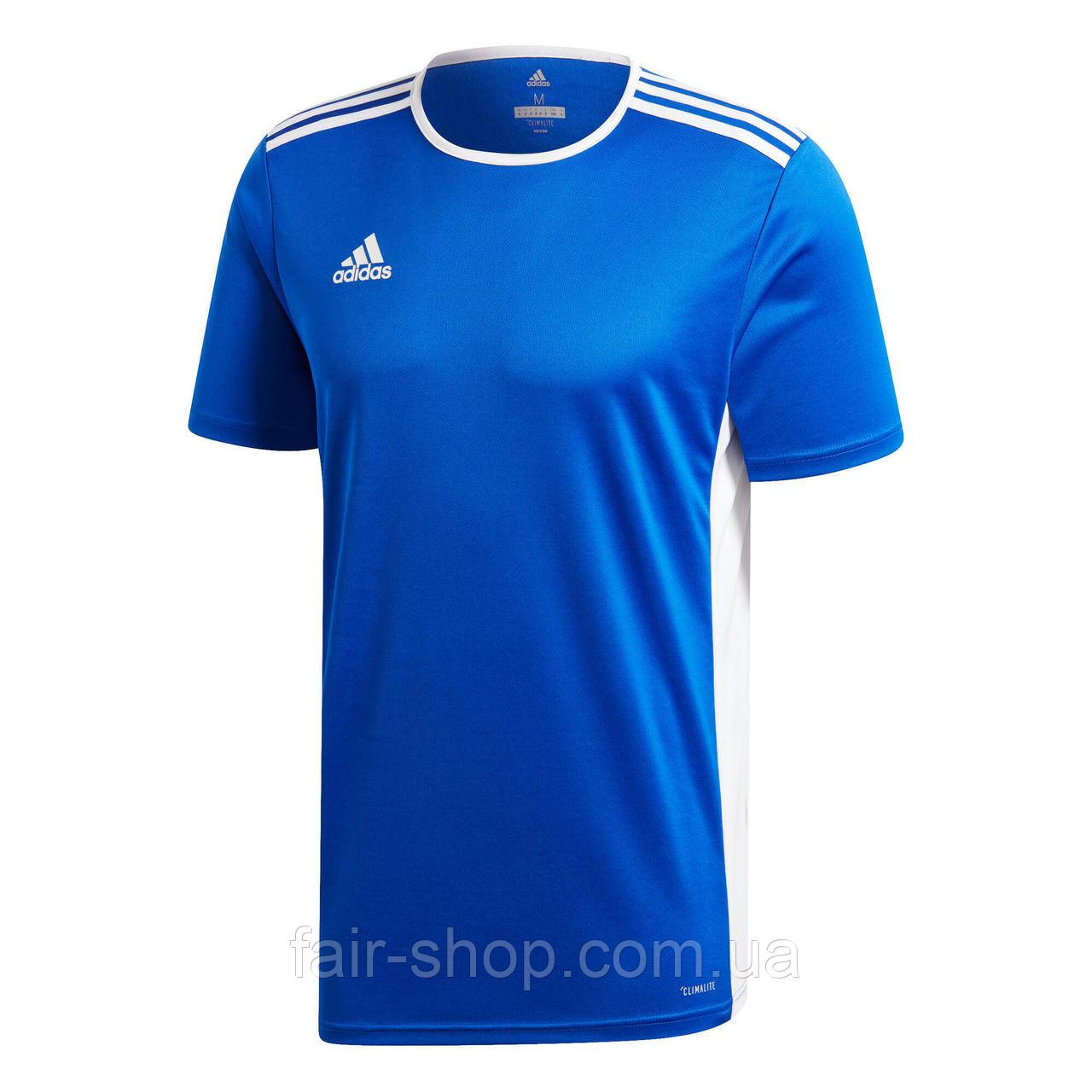 Adidas entrada 14 completo hotsell