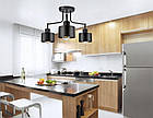 Підвісний стельовий світильник у стилі лофт Luxolar Factory Lamp 382 E27 чорний, фото 4