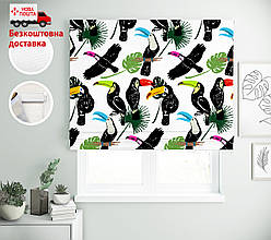 Римські штори з малюнком Тукани різнокольорові | римські штори з принтом