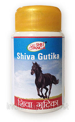 Шива Гутика Шри Ганга 100таб, Shiva Gutika Shri Ganga, Аюрведа Здесь ...