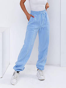 Теплі спортивні штани жіночі на флісі блакитні EG/-67596