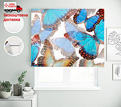 Римські штори з друком Метелики блакитні | римські штори з принтом