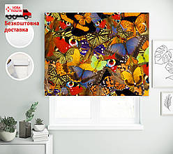 Римські штори з друком Метелики строкаті теплі | римські штори з принтом