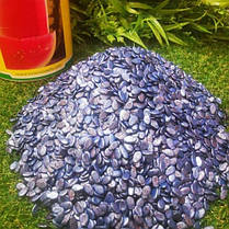 Ау Продюсер — насіння кавуна (500 г) Innova Seeds, фото 3