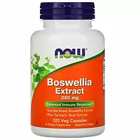 Босвеллія екстракт + куркума 250+200 мг 120 капс від запалення суглобів м'язів Now Foods США