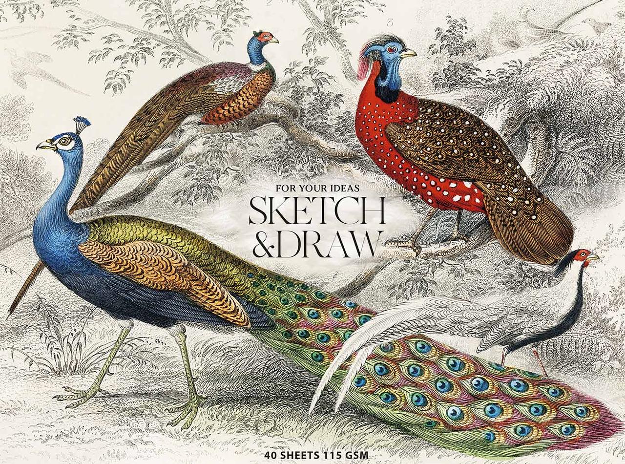 Альбом для ескізів та малювання склейка 40/115 A5+ "Muse" №PB-GB-040-068/Школярик/(1)(88), фото 1