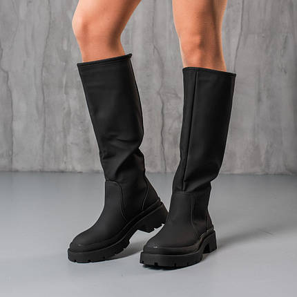 Чоботи жіночі Fashion Zinnia 3869 39 розмір 25 см Чорний ID 4432523, фото 1