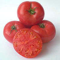 Семена томатов Зинуля 0,4 г