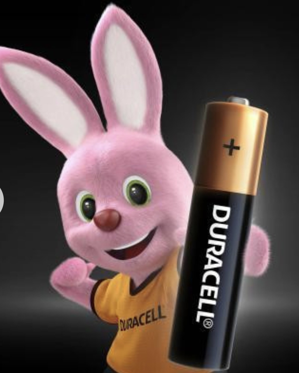 Батарейки Duracell Professional AAA